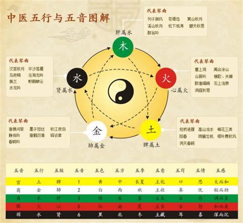 中醫五行歸類表|中医五行学说的概念及归类